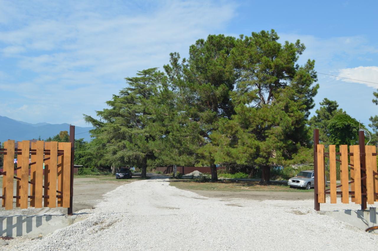 Al Mare Hotel Pizunda Exteriör bild